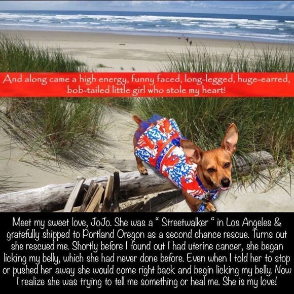 The reason I work so hard, my Fur Babies! - Picture 2 of 4